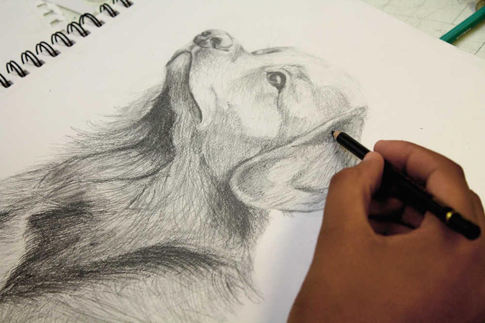 Dibujo 1: Fundamentos